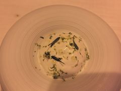 -迪拜帆船酒店海底餐厅