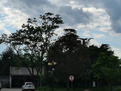 -国家图书馆·古籍馆