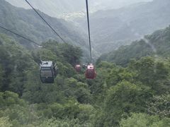 -王顺山国家森林公园