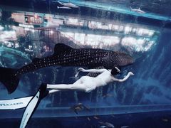 -成都浩海立方海洋公园