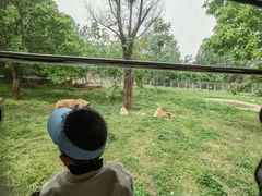 -西安秦岭野生动物园