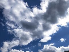 -牛背梁国家森林公园