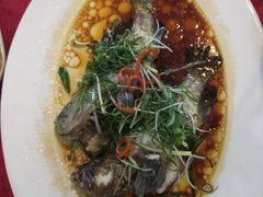 -隆都四季香饭店(碧海路店)