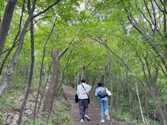 -紫金山山顶公园