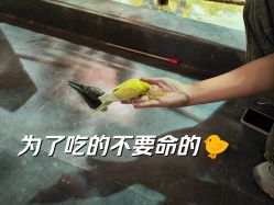 -酷嗒动物文化乐园(cutezoo西溪乐天城店)