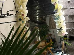 -树咖啡tree coffee