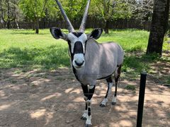 -大连森林动物园