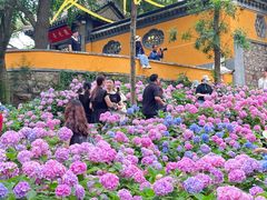 -惠山古镇·寄畅园