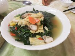 鲜腐竹银杏上汤浸有机豆苗-佛有缘素食馆·荔湾老字号(陈家祠首店)