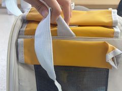 -谐和贝康宠物医院24小时·宠保定点(急重症转诊中心)