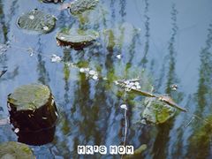 -玉山公园