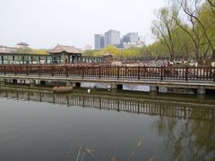 -莲花池公园