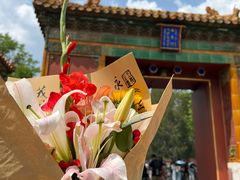 -北京国子监胡同