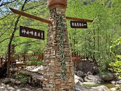 -青峰峡国家森林公园