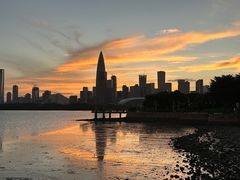 -深圳湾公园(南山区)