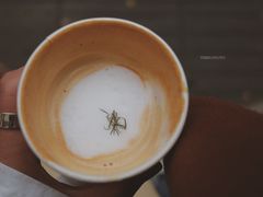 -O.P.S. CAFE