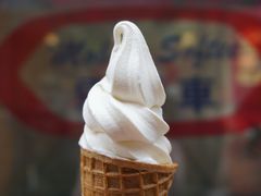 -富豪雪糕车流动点(尖沙咀)
