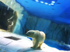 -广东省拱北口岸中国旅行社(华宾营业部)