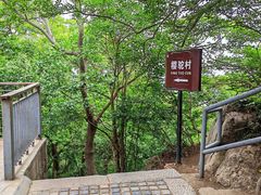-紫金山山顶公园