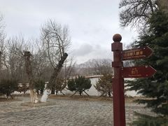 -罗布林卡