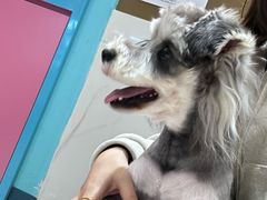 -FAELING PETS美天灵宠物(合生汇店)