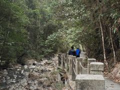 -九龙江国家森林公园