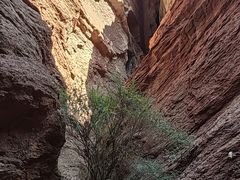 -天山神秘大峡谷