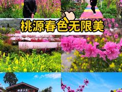 -桃源山庄·水蜜桃采摘·柴火鸡·烧烤团建(龙泉山店)