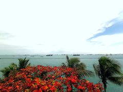 -巴拉湾海滩