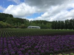 -富田农场