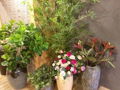 -唐沫茶兮(仓山万达金街店)