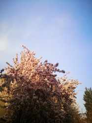 -三河市薇拉风情婚纱摄影店