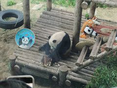 -大连森林动物园