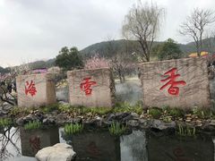 -香雪海