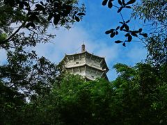 -深圳国际园林花卉博览园