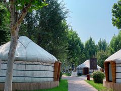 -九十九顶毡房(阜石路店)