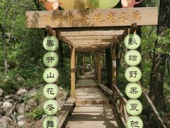 -大岭沟猕猴桃谷风景区
