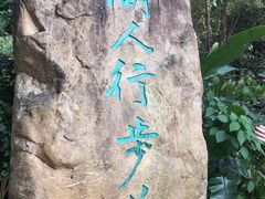 -深圳仙湖植物园
