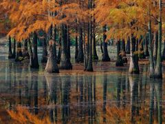 -白鹭湾湿地公园