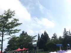 -溪口商量岗景区