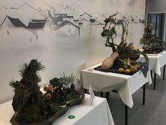 -杭州植物园