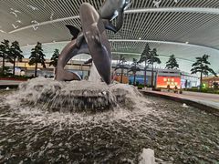 -青岛胶东国际机场