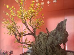 -颐和园
