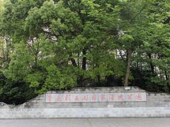 -重庆彩云湖湿地公园
