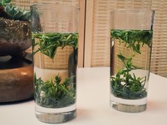 -武汉境自在書店