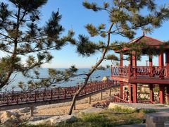 -海岛日记(养马岛店)