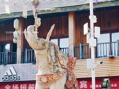 景点-告庄西双景