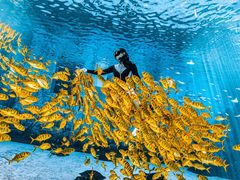 -三亚海昌梦幻海洋不夜城