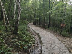 -帽儿山风景区