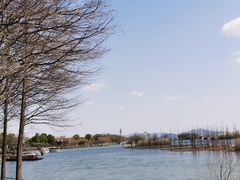 -太湖湖滨国家湿地公园-停车场